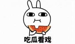 豪门夫人吃瓜沙雕动画免费观看,沙雕动画免费畅享，笑料横生！