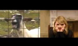 黄老板爆料唱歌视频,幕后唱歌瞬间，带你领略音乐魅力